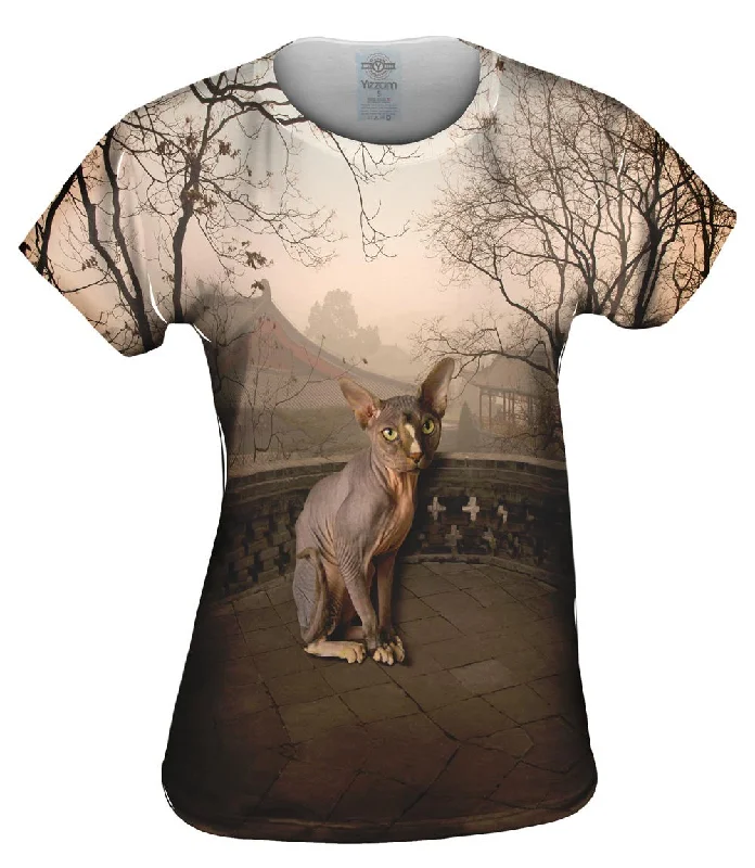 Weekend Specials to Cherish Sphynx Cat Sunset