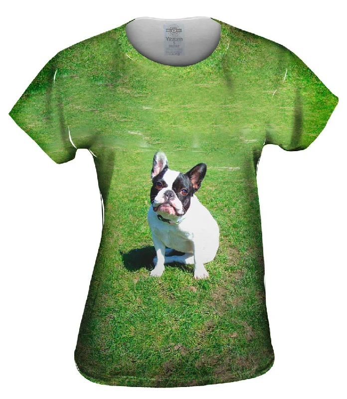 Final Clearance Sophisticated French Bulldog