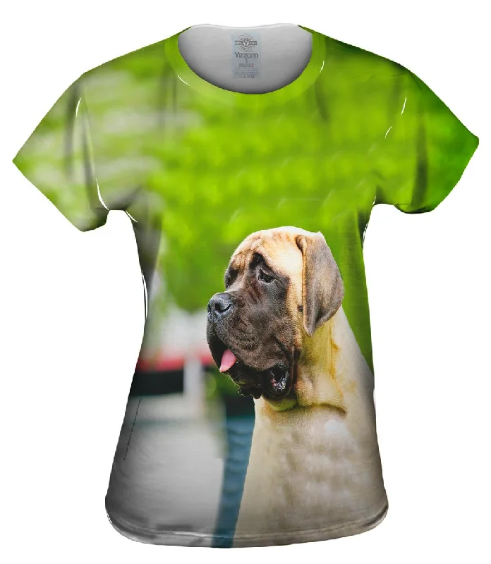 Customer Appreciation Sale Sad Face Mastiff