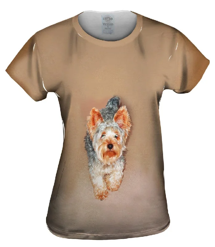 Exclusive Savings Yorkie Carpet Walk