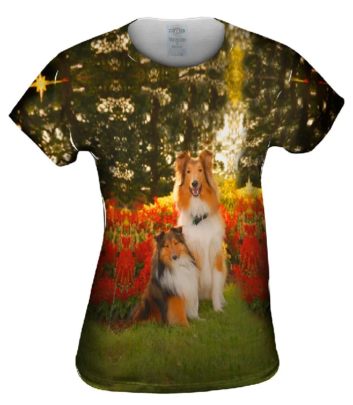 Weekend Deals You Can't Resist Tender Border Collie