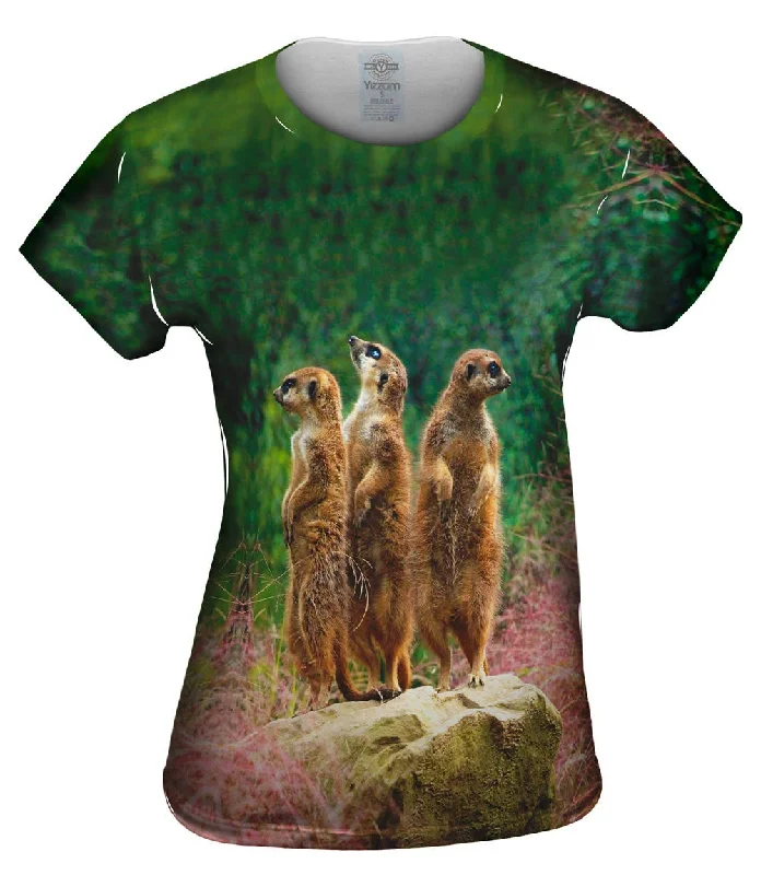 Major Deal Three Meerkats