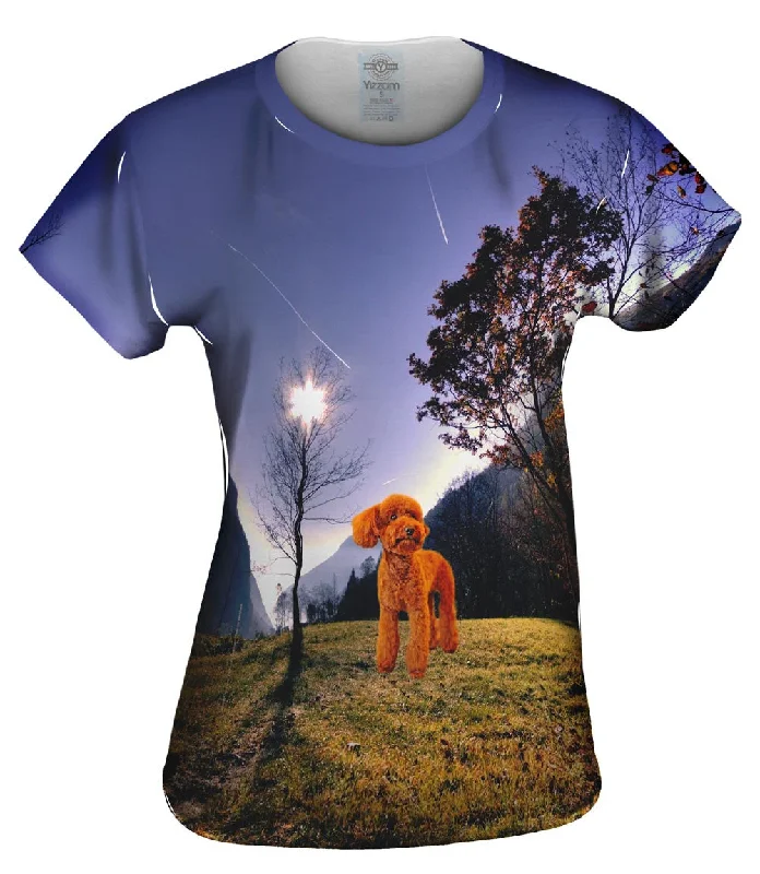 Time-Sensitive Toy Poodle Forest