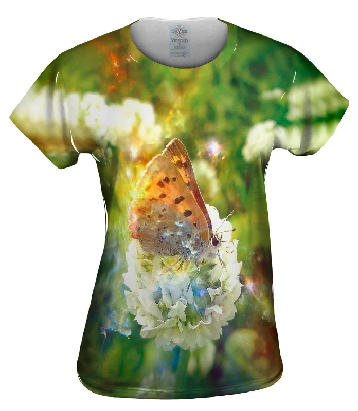 Stock Clearance Wizard Butterfly