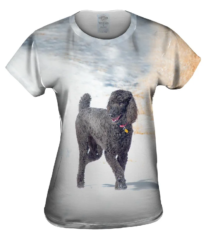 Price Reduction Smokey Poodle In The Snow