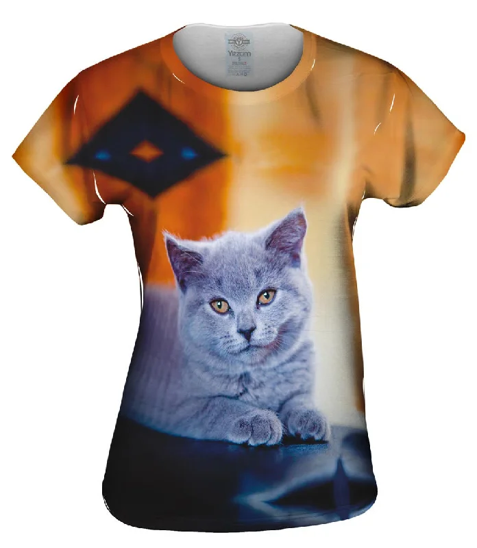 Bargain Alert Purple Cat