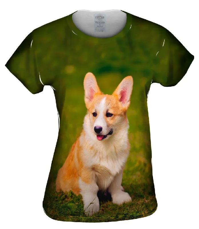 Weekend Shopping Extravaganza Pembroke Welsh Corgi Puppy
