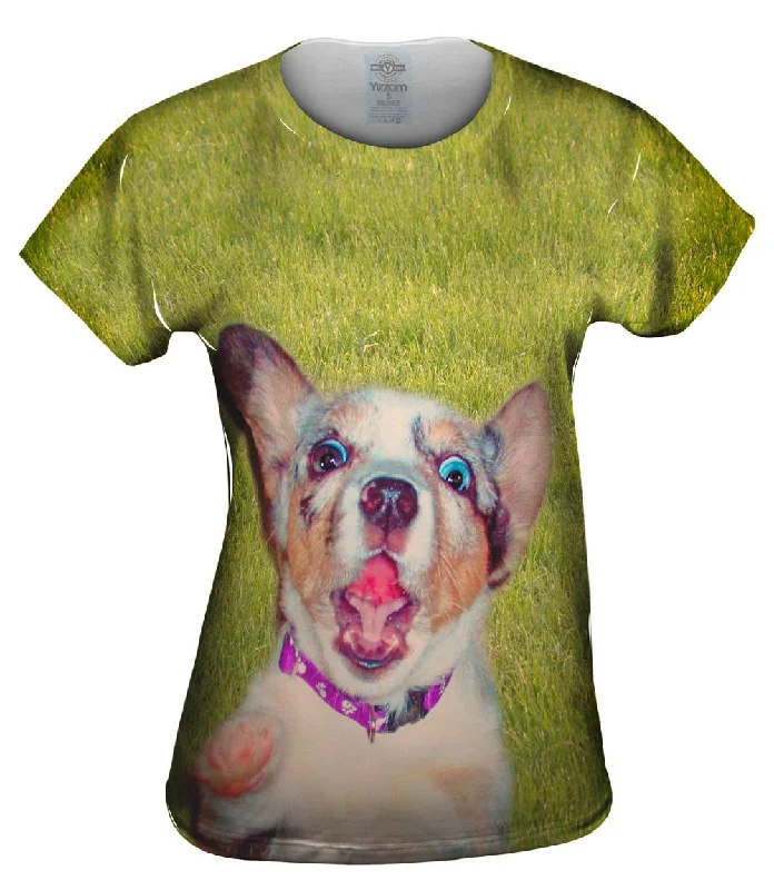 Buy Now Zanny Dog Grass