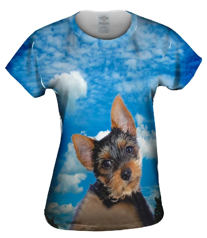 Super Bargain Pondering Yorkie