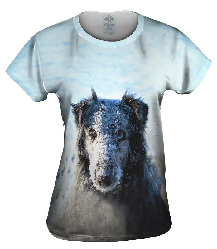 New Markdowns Snow Face Sheltie