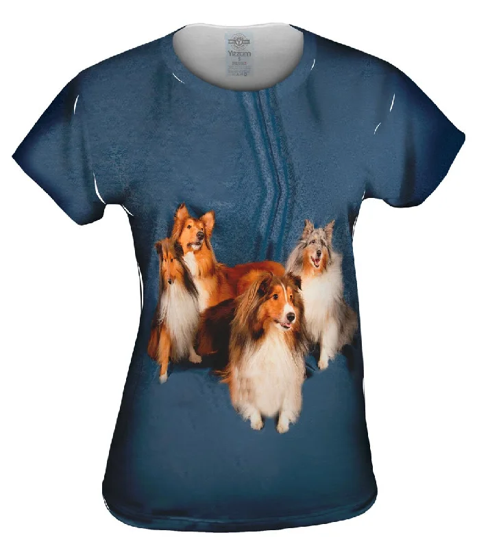 Today’s Deal Sheltie Photo Shoot