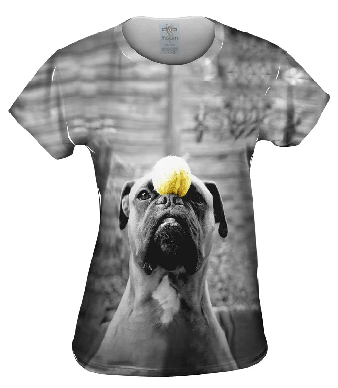 Extra Savings Obedient Boxer