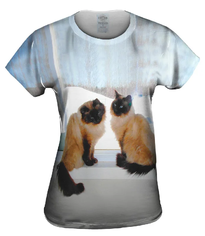 Take Advantage Siamese Cats Networking