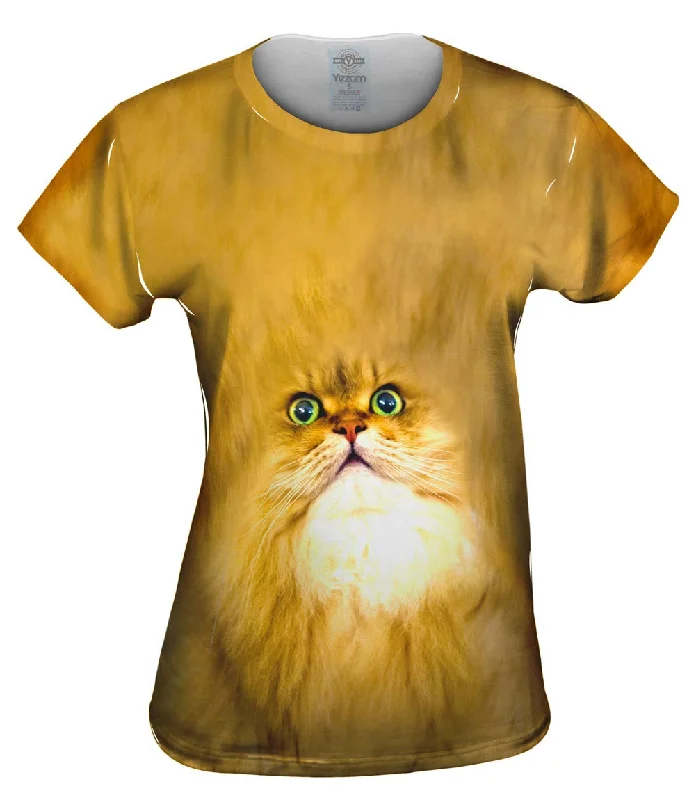 Instant Discount Soft Cat