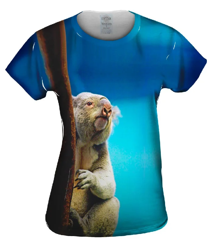 Year-End Clearance Tender Tree Koala