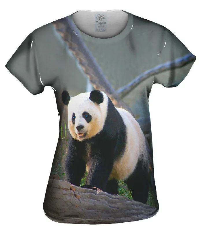 Weekend Offers That Amaze Panda On Patrol