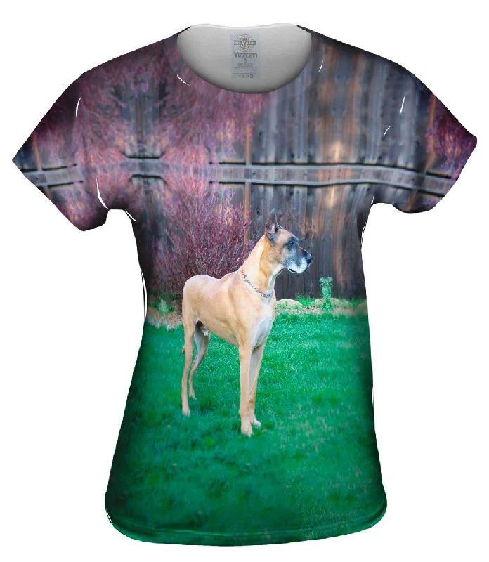 Extra Discount Prestigious Great Dane