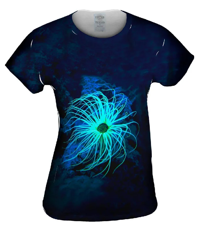 Cash Savings Underwater Ceriantharia Glow