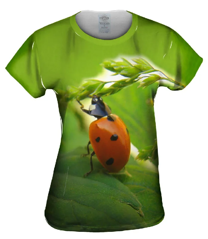 Clearance Sale Pull Ups Ladybug